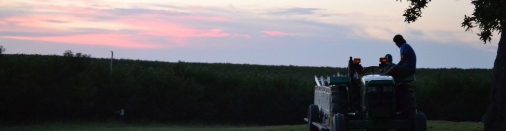 cropped-sunsettractorman.jpg