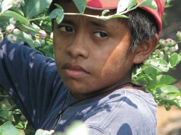 It ain’t just&nbsp;tobacco