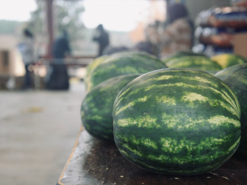 To Feed Those Who Feed&nbsp;Us