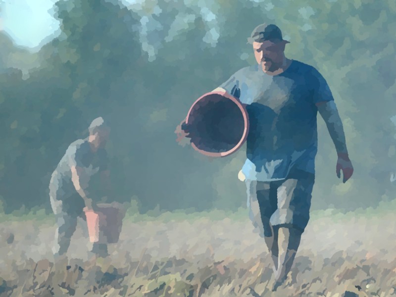 Finding America’s Farmworkers